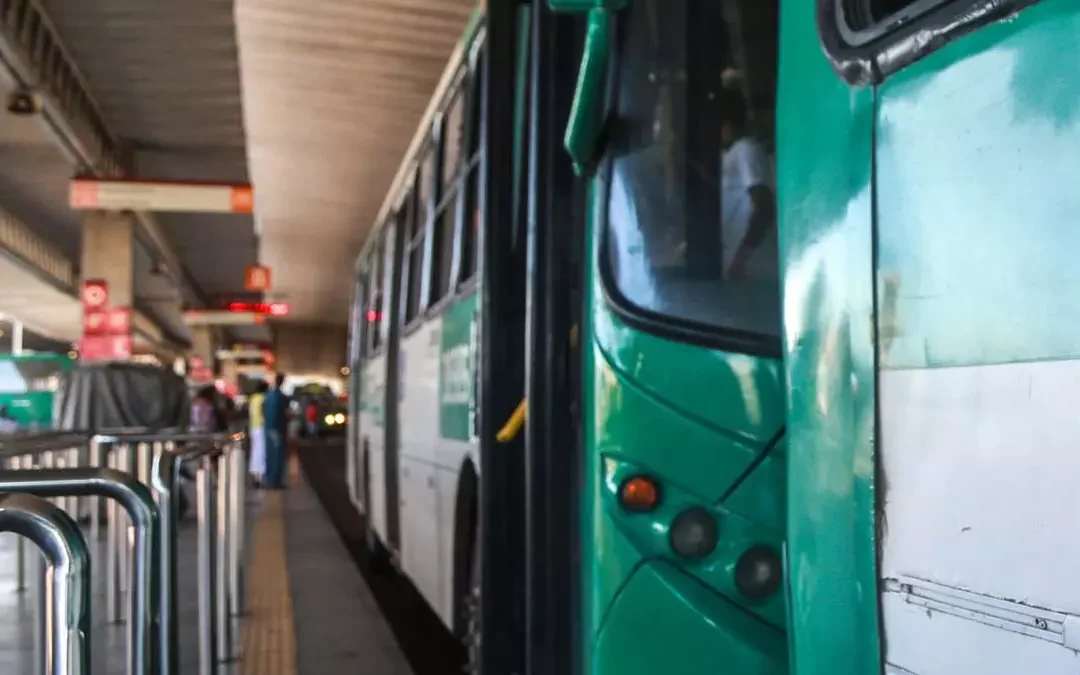 Valéria passa a contar com novas linhas de ônibus